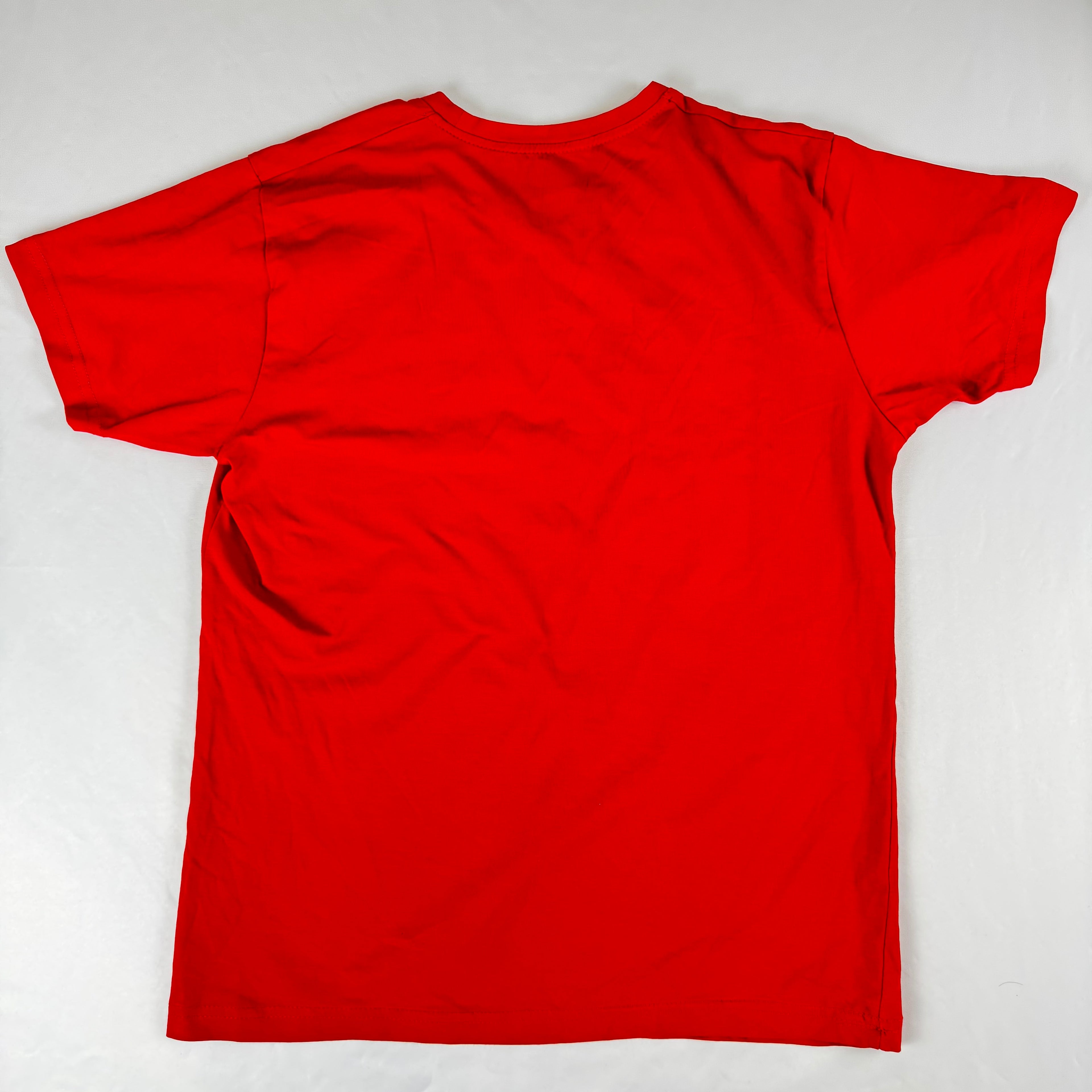 T-Shirt Lacoste L- gebraucht